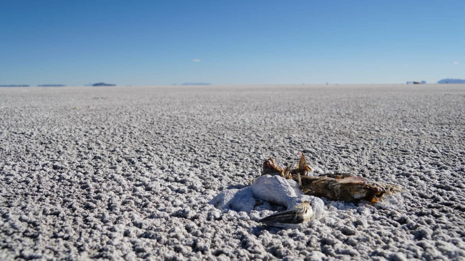 Bolivia photo essay