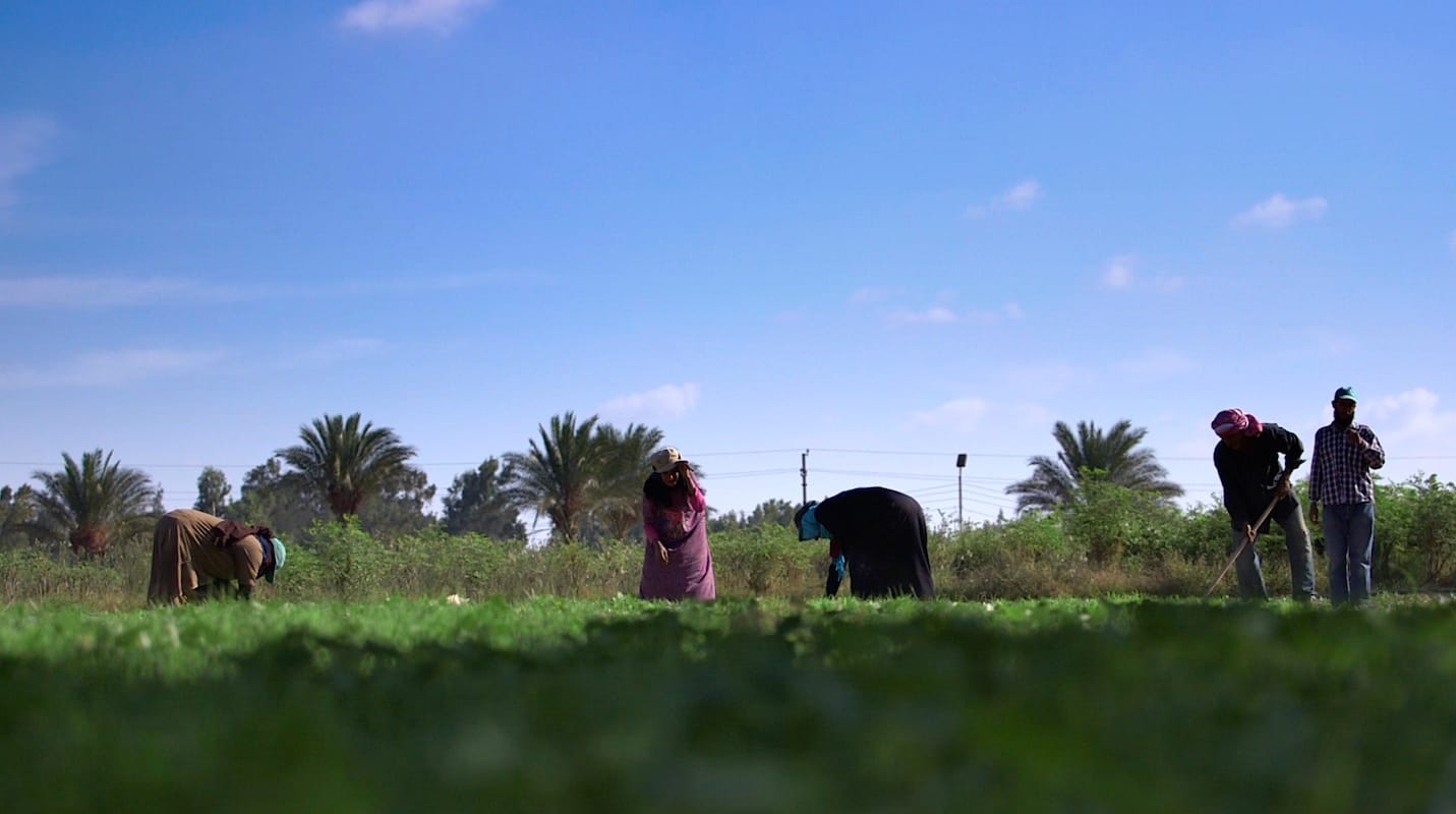 Egypt photo essay