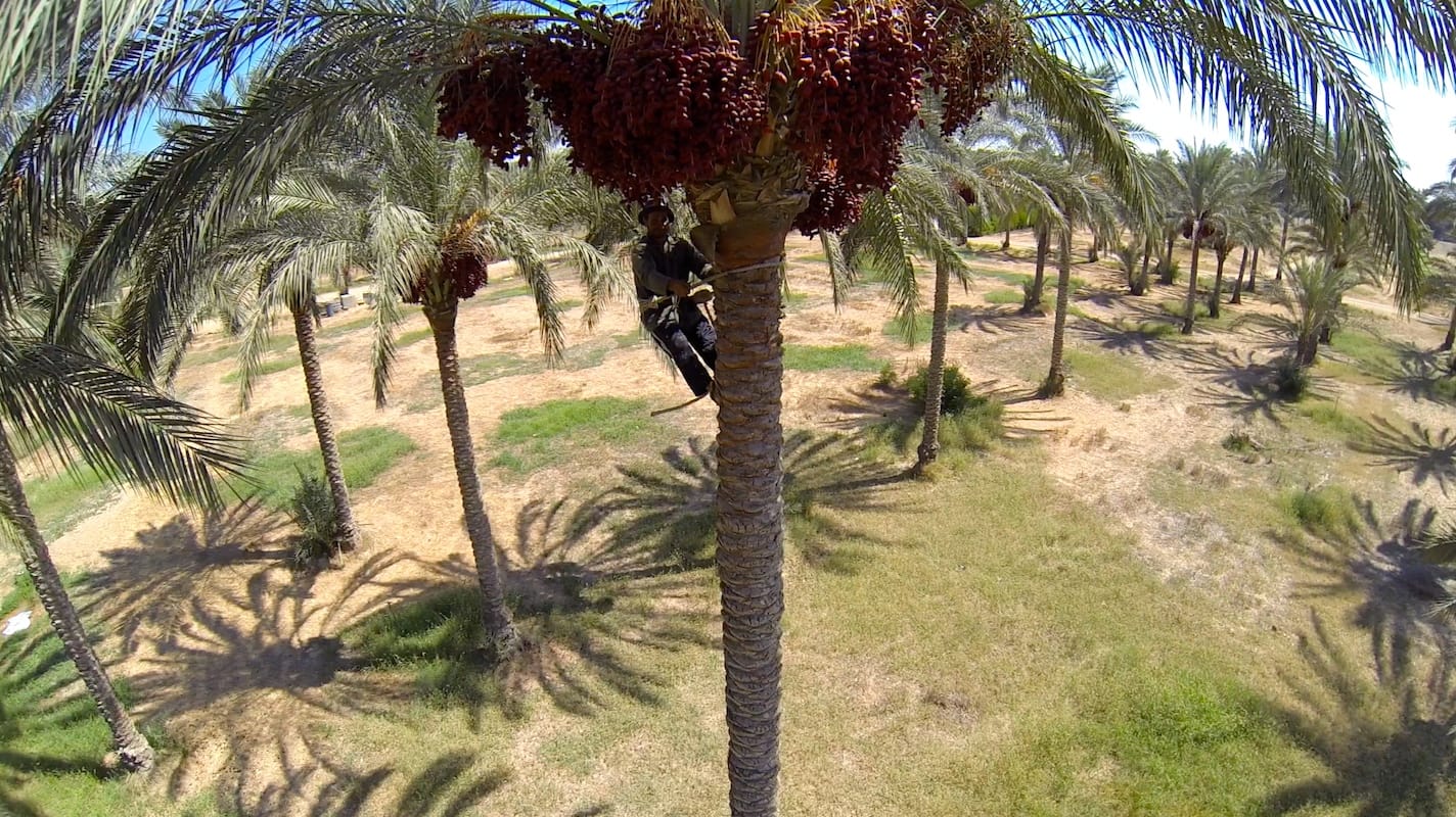 Egypt photo essay