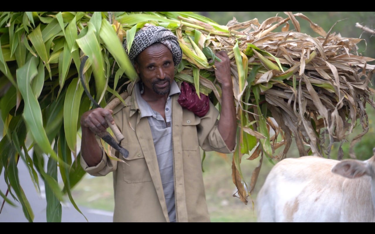 Ethiopia photo essay