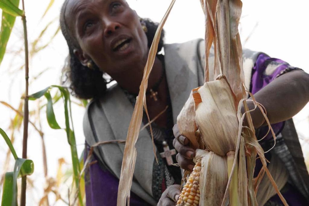 Ethiopia photo essay