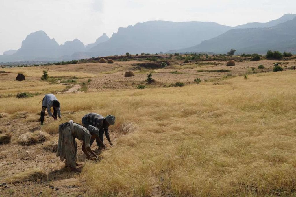 Ethiopia photo essay