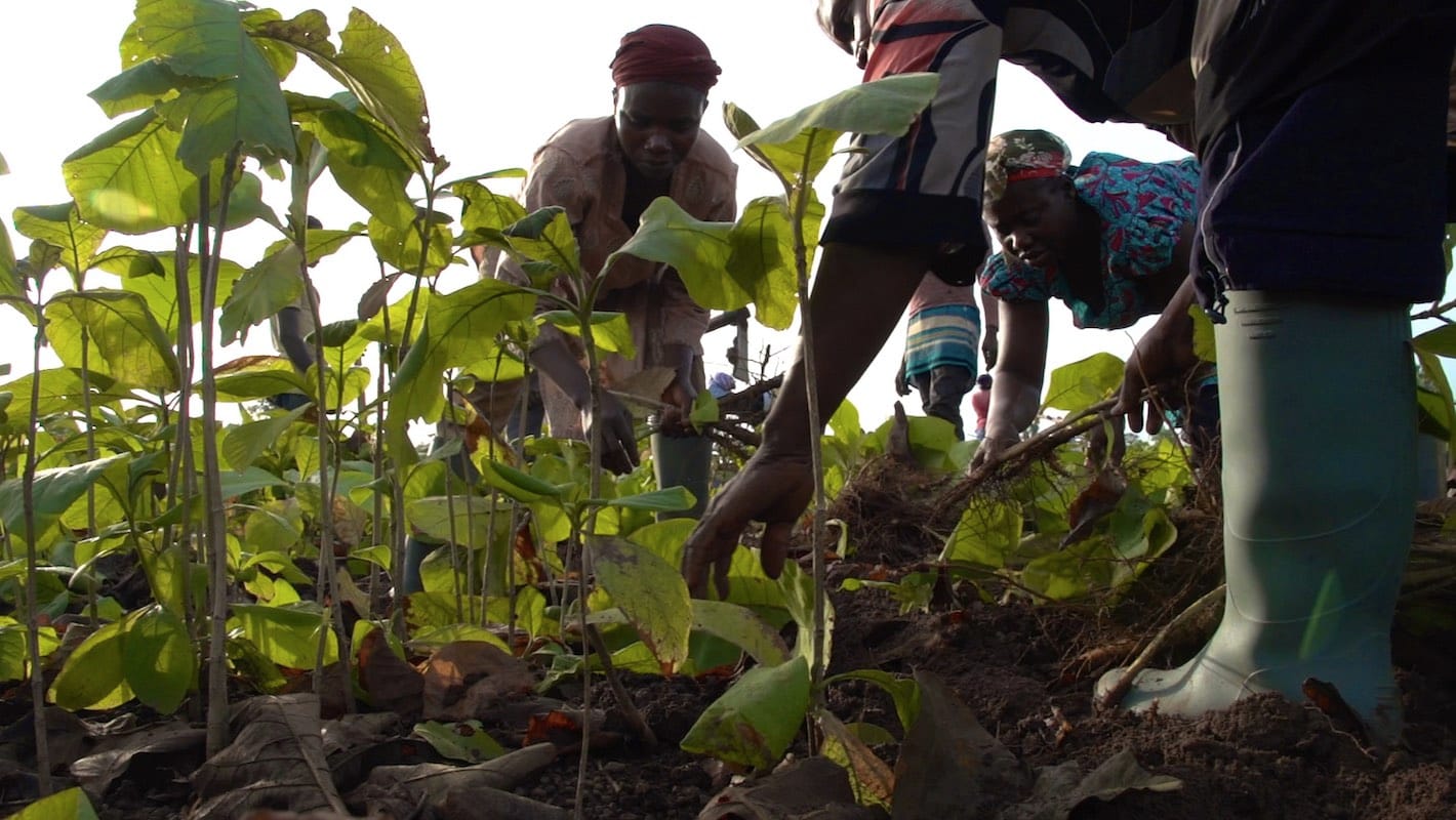 Ghana photo essay
