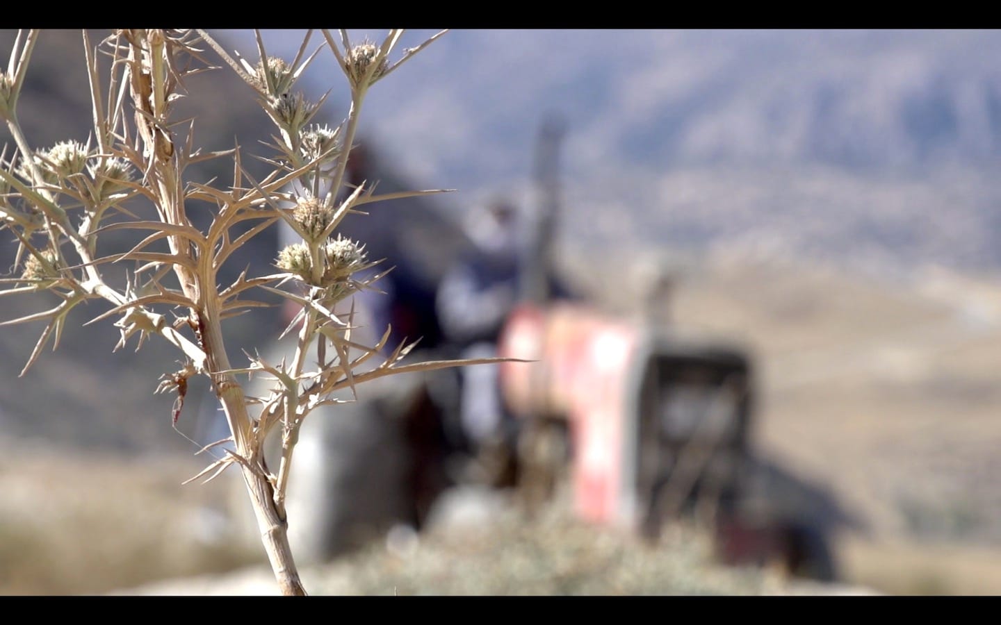 Jordan photo essay