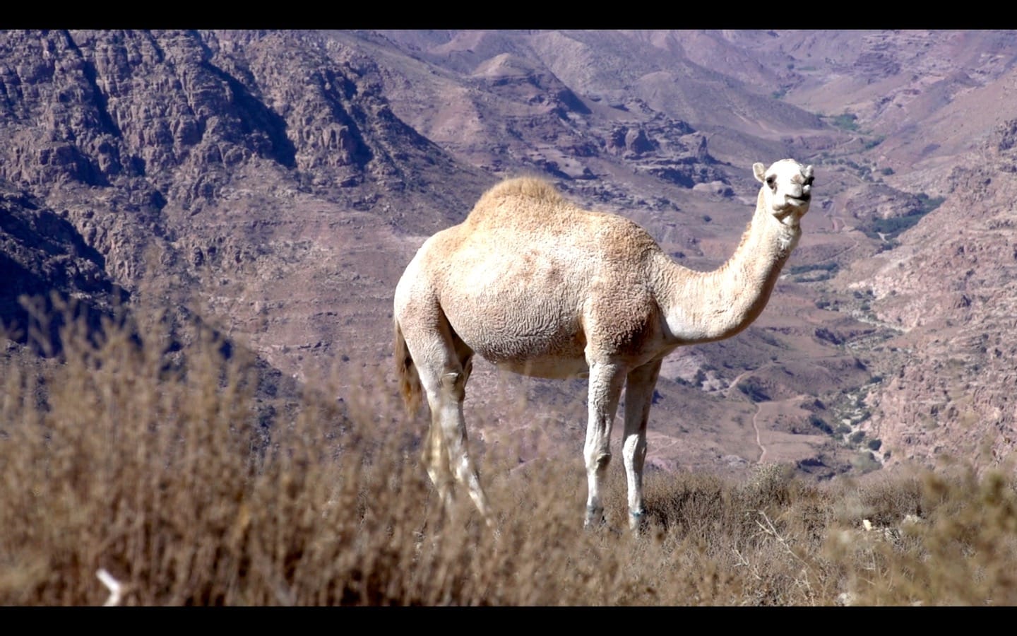 Jordan photo essay