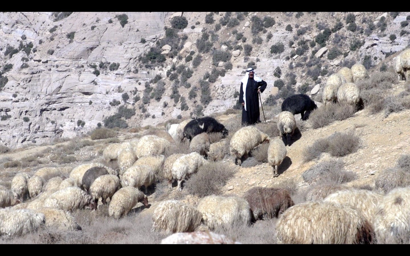 Jordan photo essay