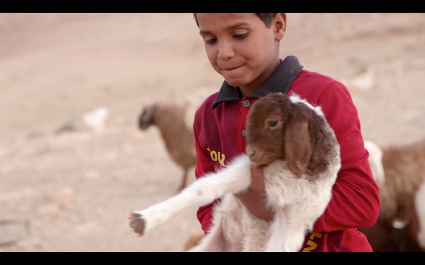 Jordan photo essay