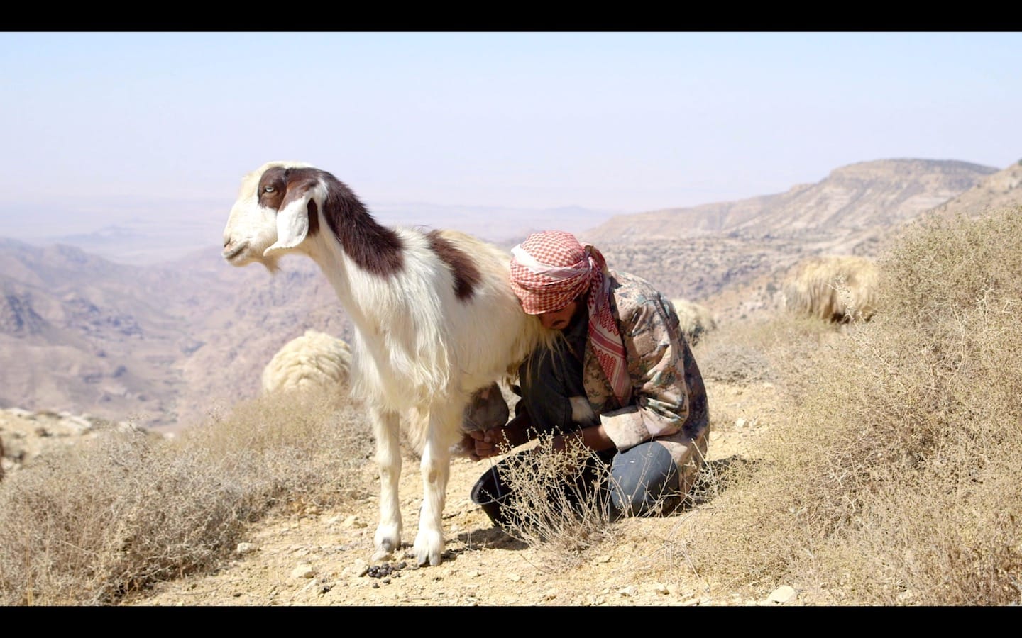 Jordan photo essay