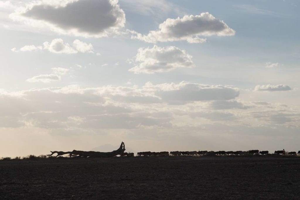 Kenya photo essay