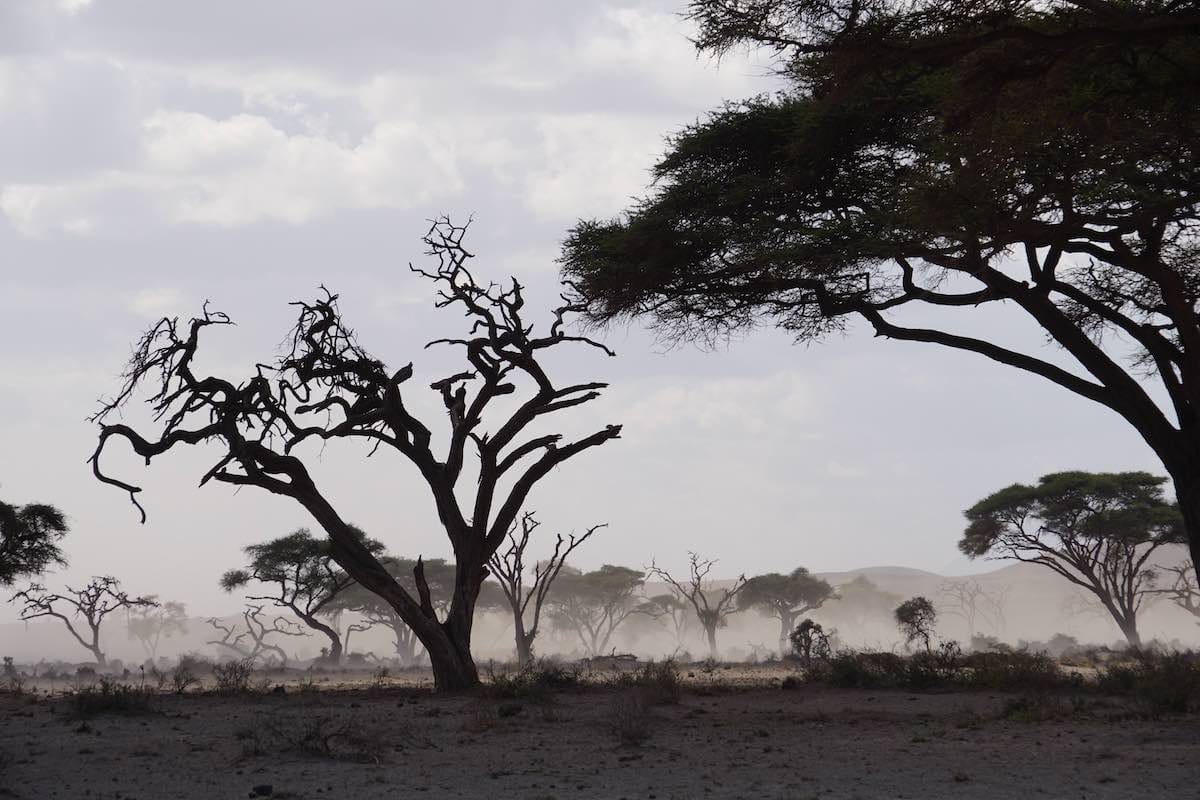 Kenya photo essay
