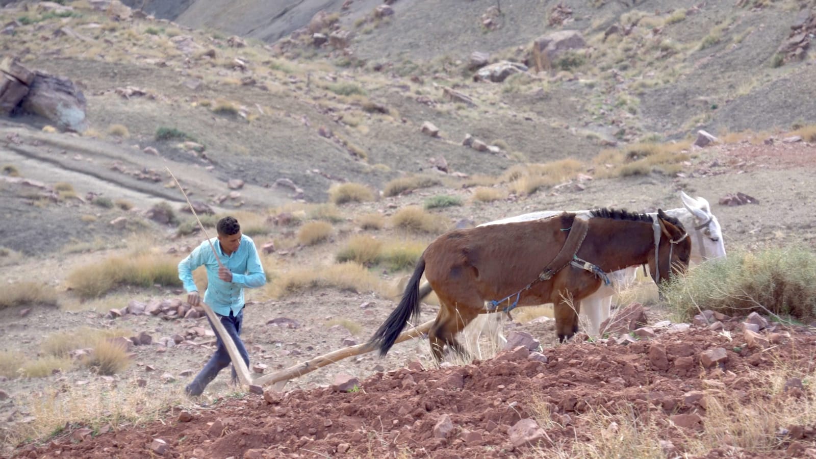Morocco photo essay
