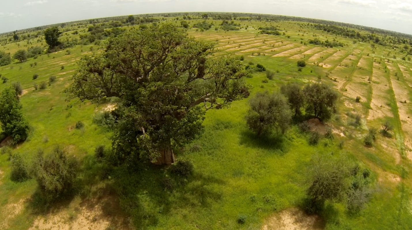 Senegal photo essay