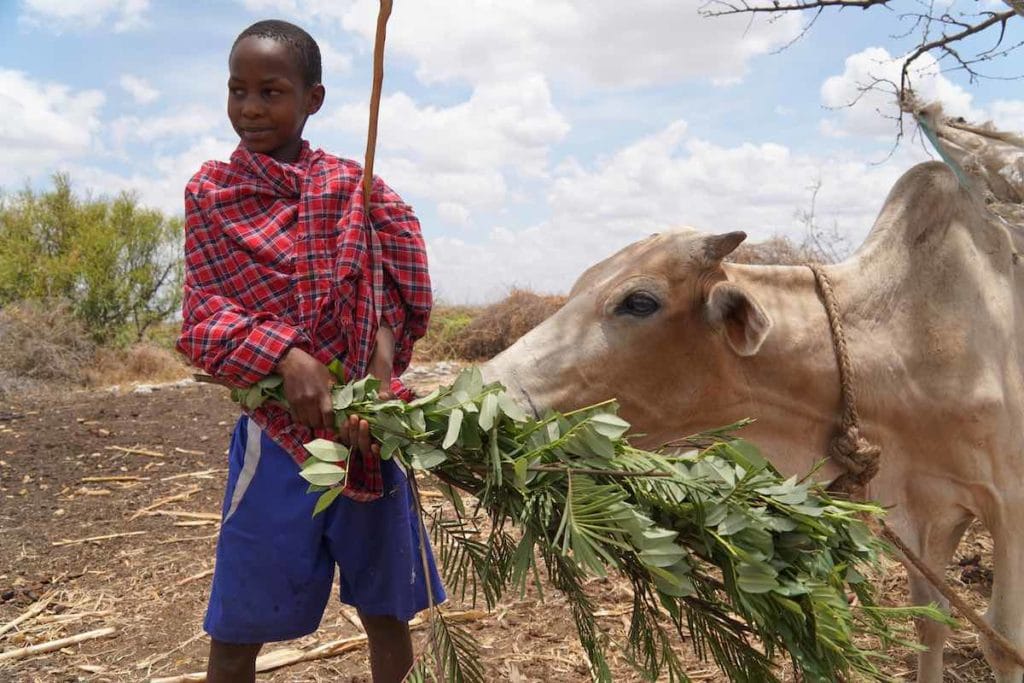 Tanzania photo essay