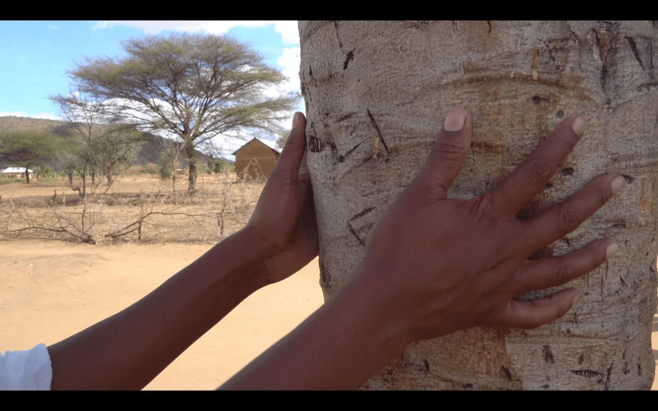 Tanzania photo essay