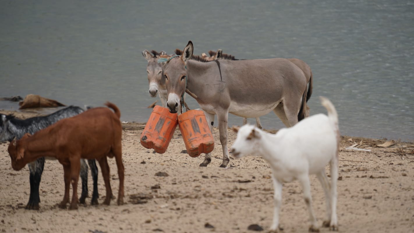 Tanzania photo essay