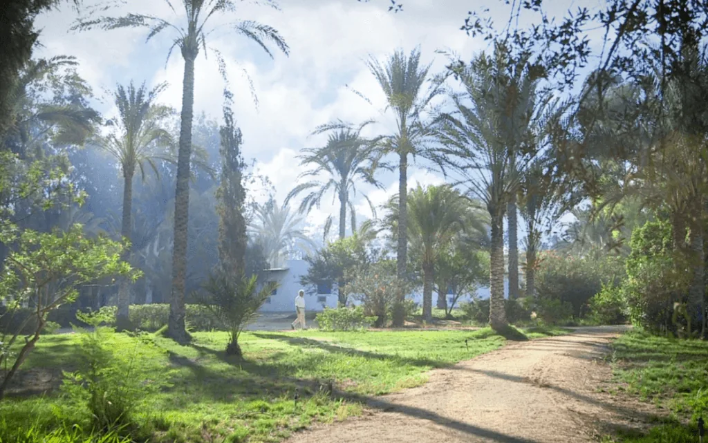 Egypt (after)