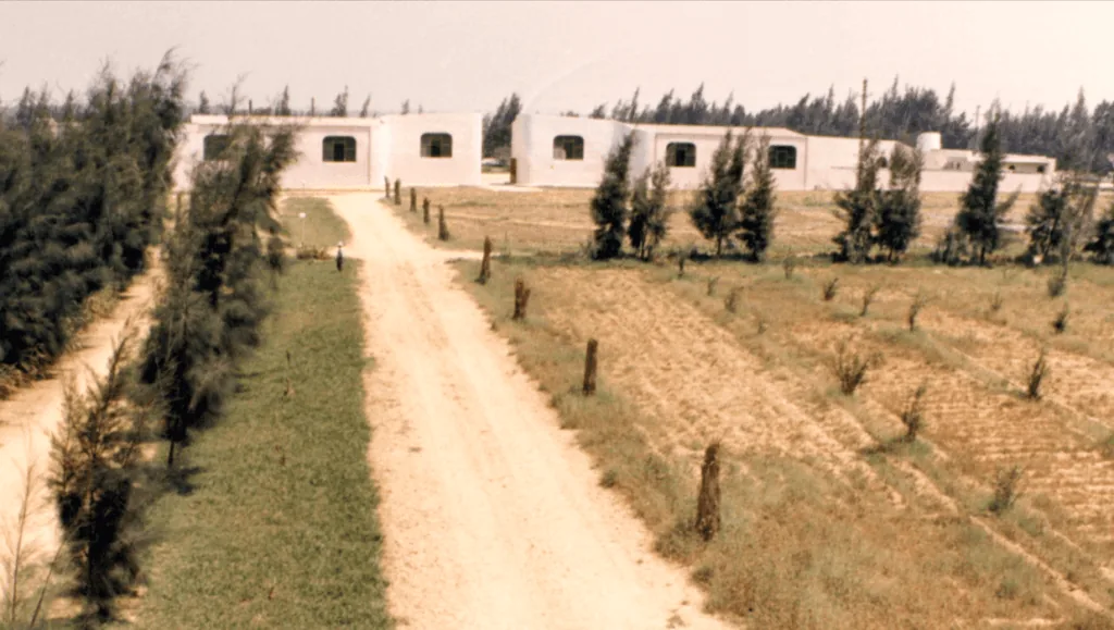 Egypt (before)