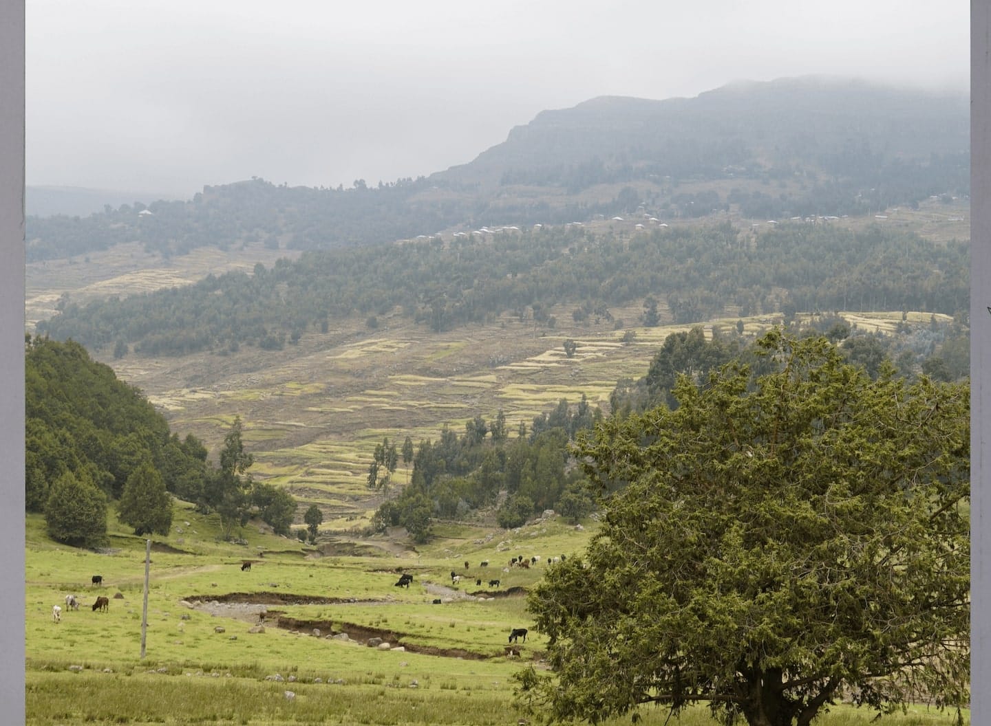 Ethiopia (after)