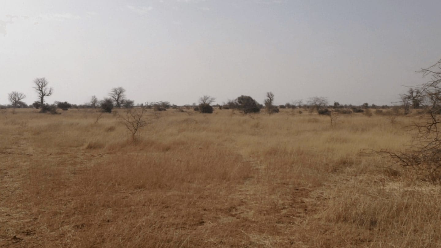 Senegal (after)