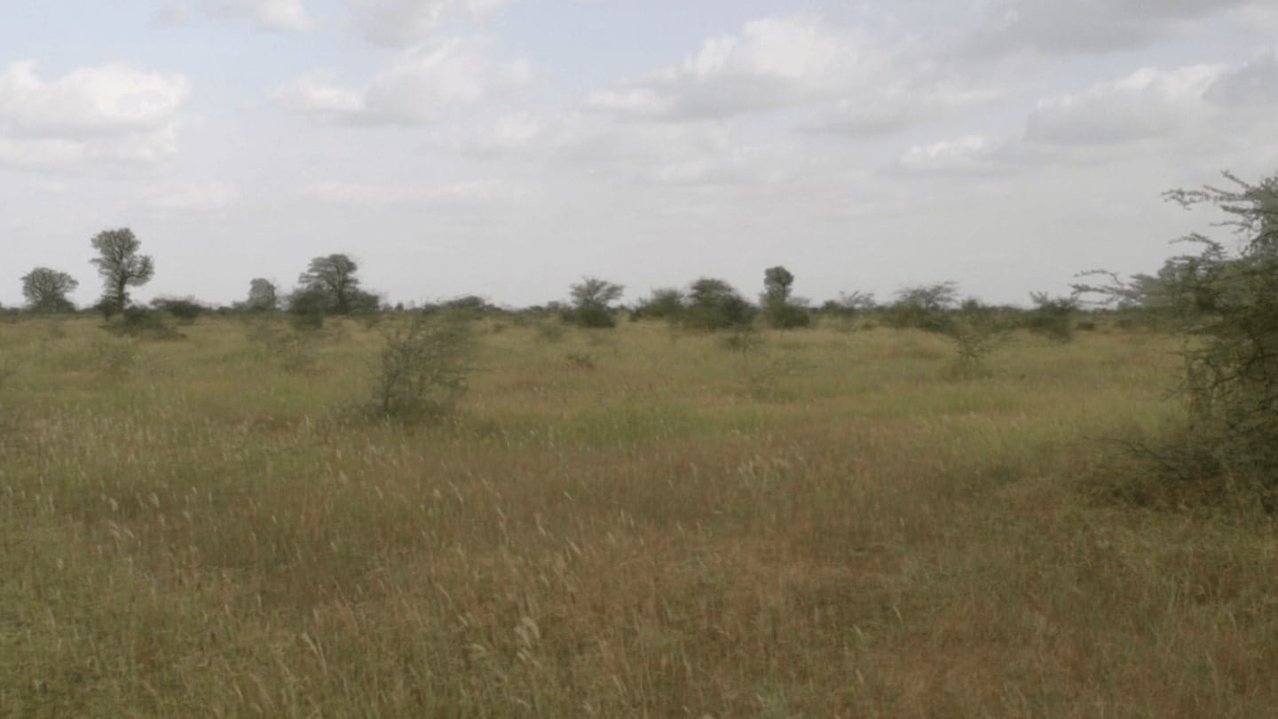 Senegal (before)
