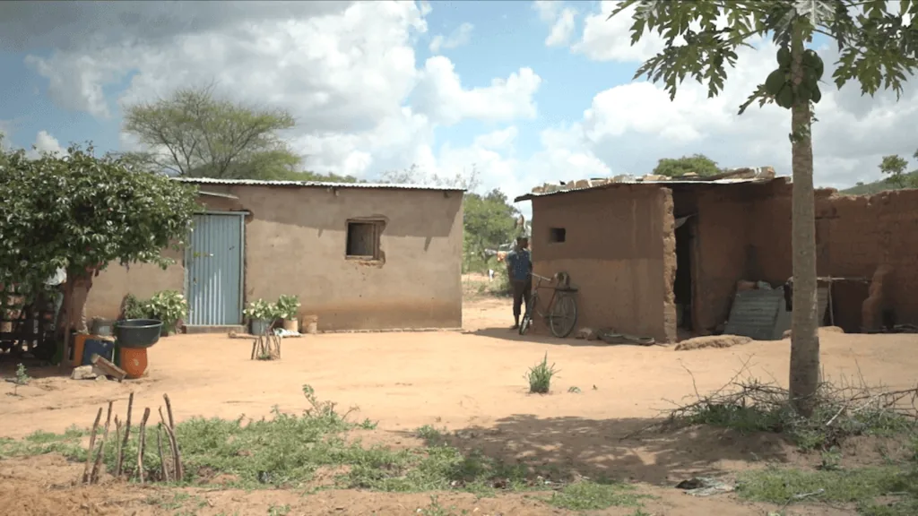 Tanzania (before)