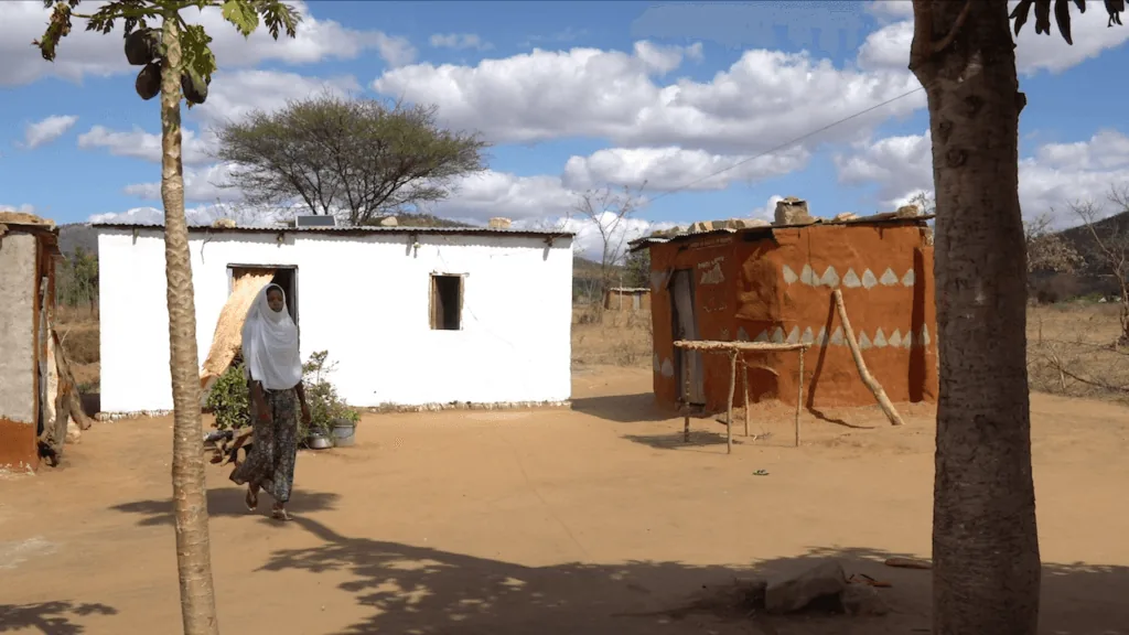 Tanzania (after)
