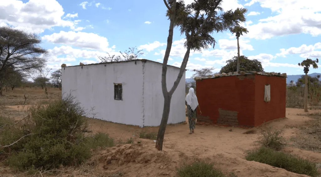 Tanzania (after)