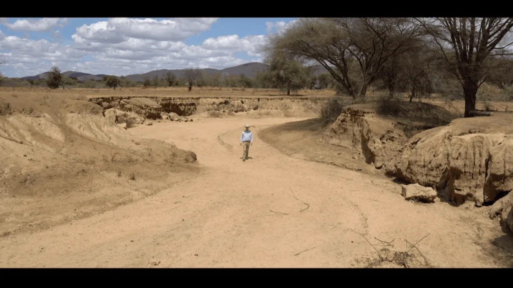 Tanzania (after)