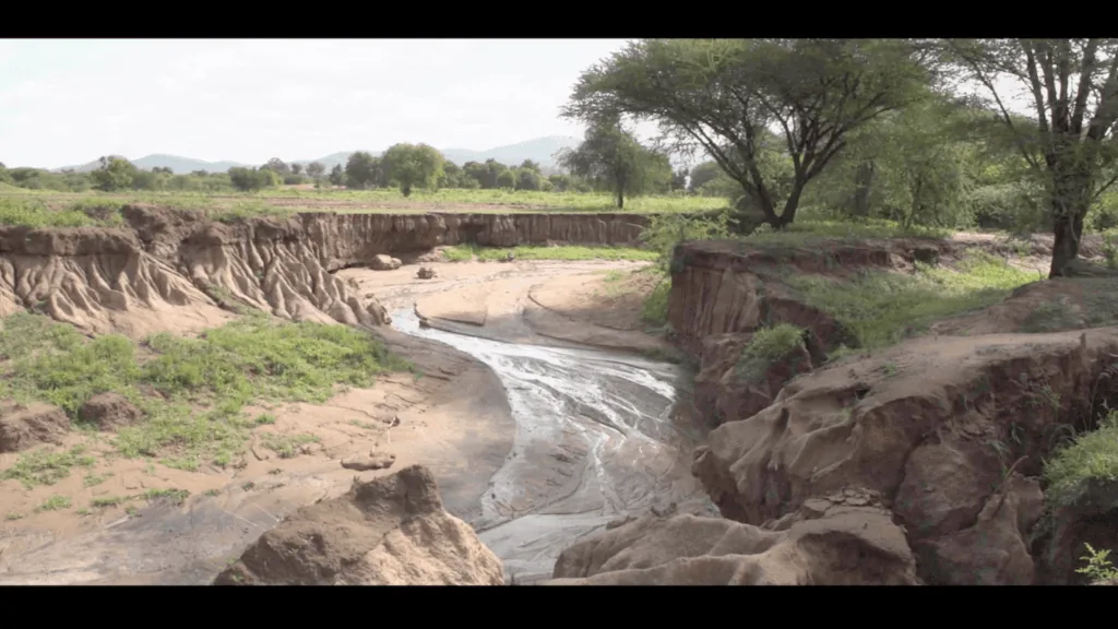 Tanzania (before)