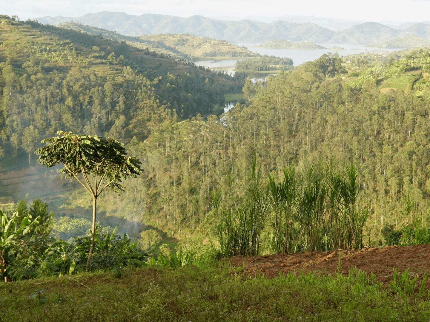 Rwanda (before)