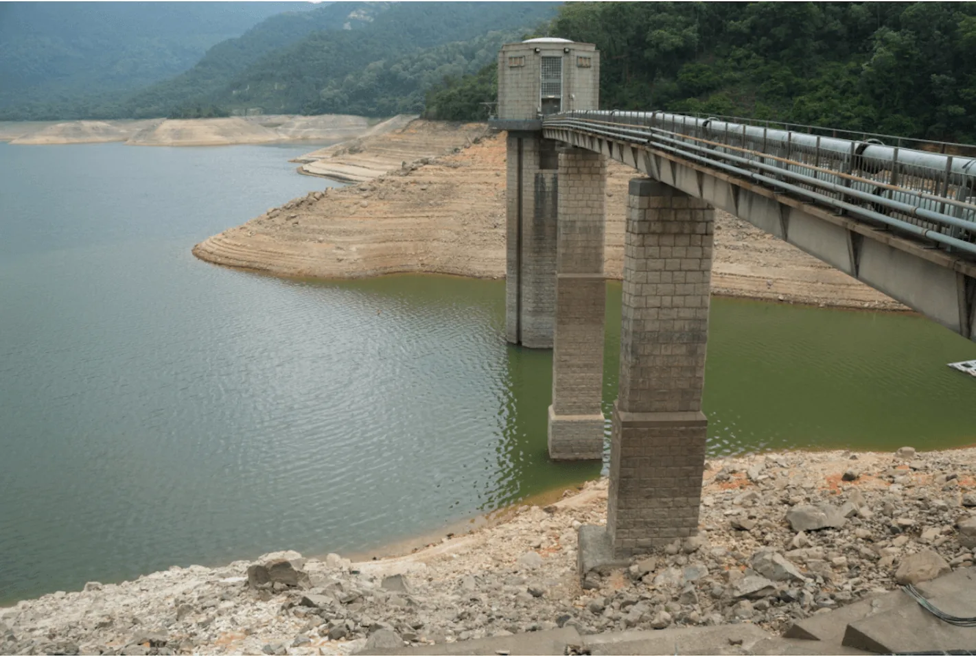 Drought in the Tropics — Charlotte Chan