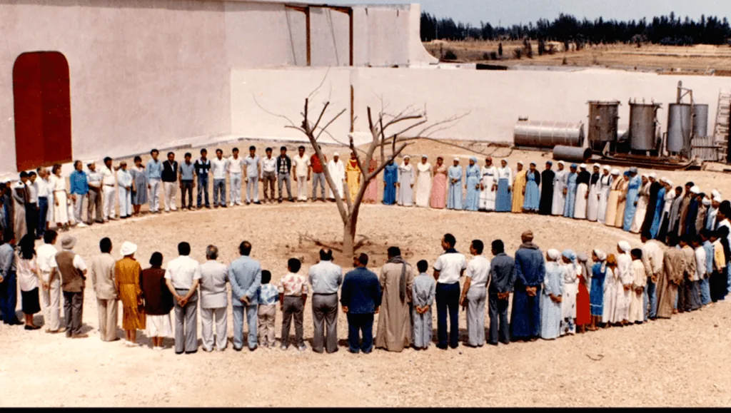 Sekem, Egypt (before)