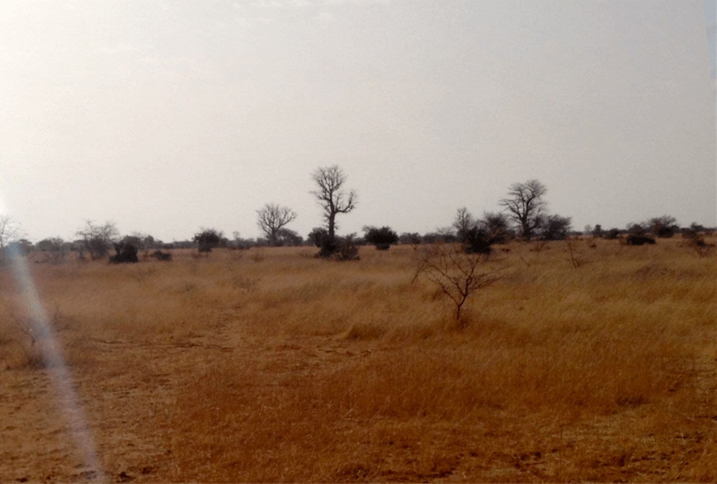 Landscape with rainfall and without - Senegal 2