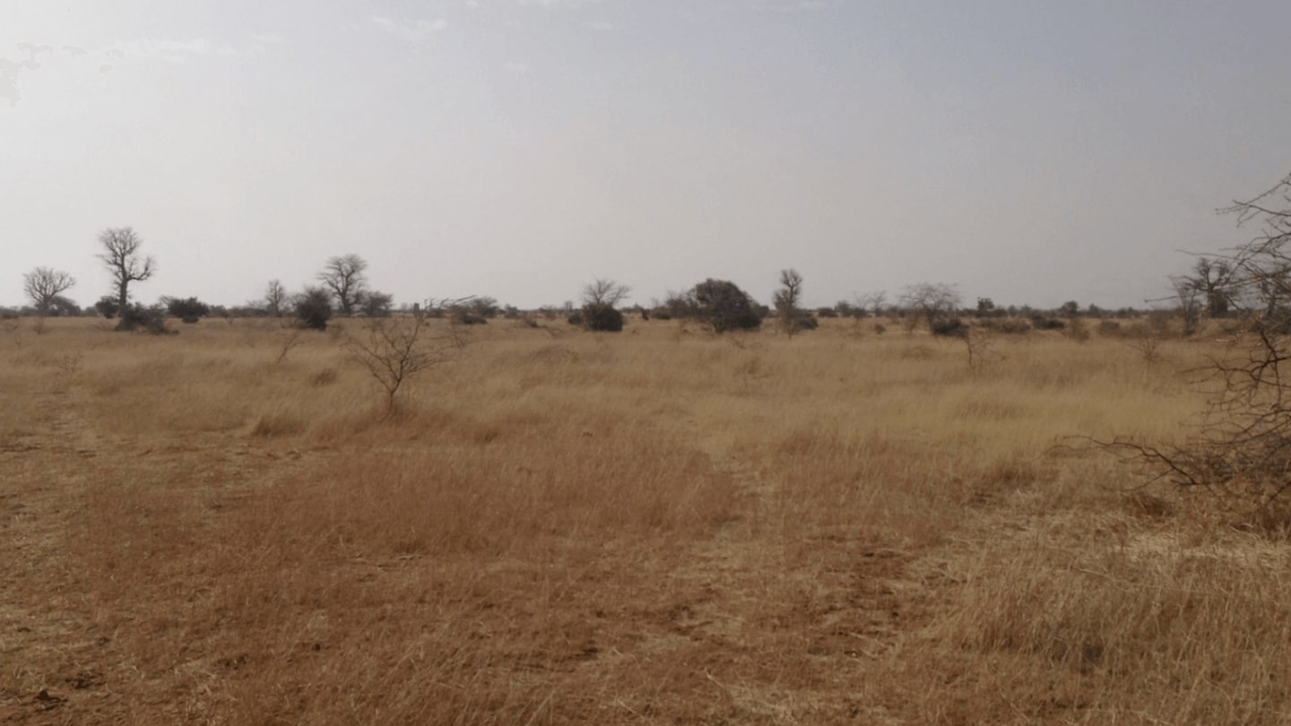 Senegal dry season BEFORE 2012